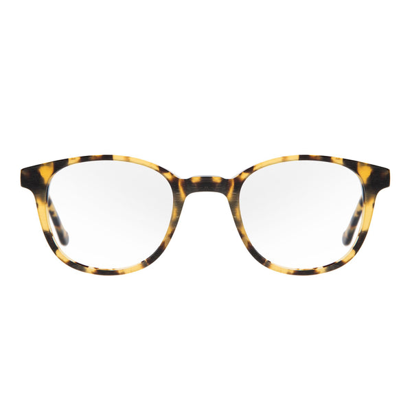 ADEN MONTUUR - BRUIN TORTOISE